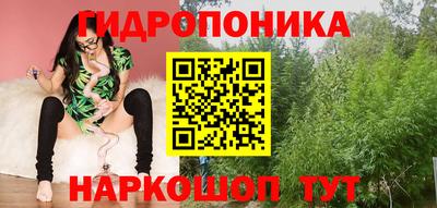гидропоника Бийск