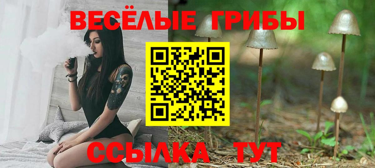 Псилоцибиновые грибы мицелий Каменск-Шахтинский