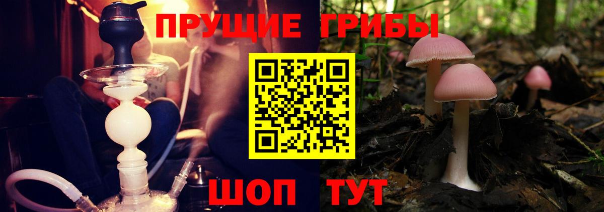 Каменск-Шахтинский  Псилоцибиновые грибы Psilocybe  даркнет сайт  Вход с VPN 